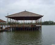 青浦天气预报7天