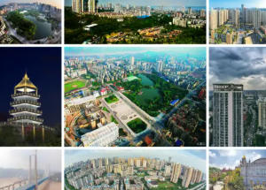 大渡口今天天气