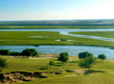 杜尔伯特今天天气