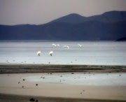 北票天气预报7天