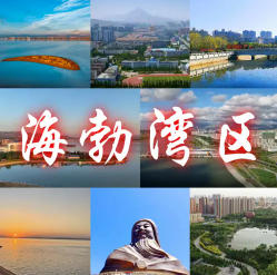 海勃湾今天天气