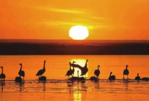 阿巴嘎旗今天天气