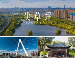 尖草坪今天天气