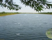 商河天气预报7天