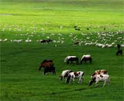 海北州天气预报40天