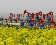 庆阳天气预报7天