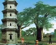 太康天气预报7天