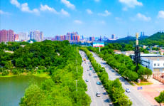 黄石港今天天气