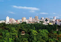 自流井今天天气