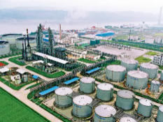 龙马潭今天天气