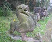 芦山天气预报7天