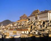 香格里拉今天天气